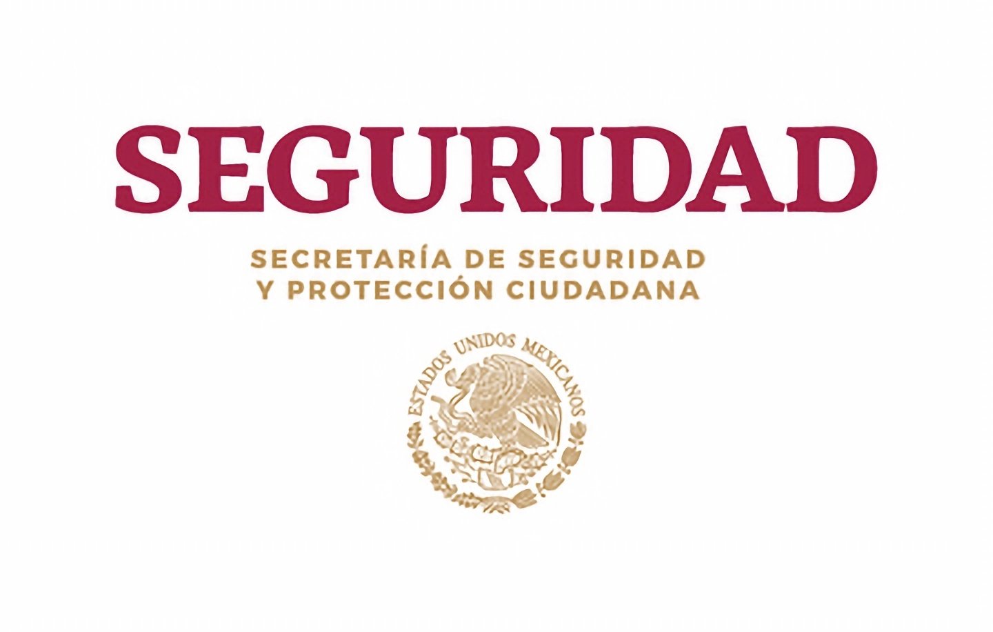 Permiso seguridad privada